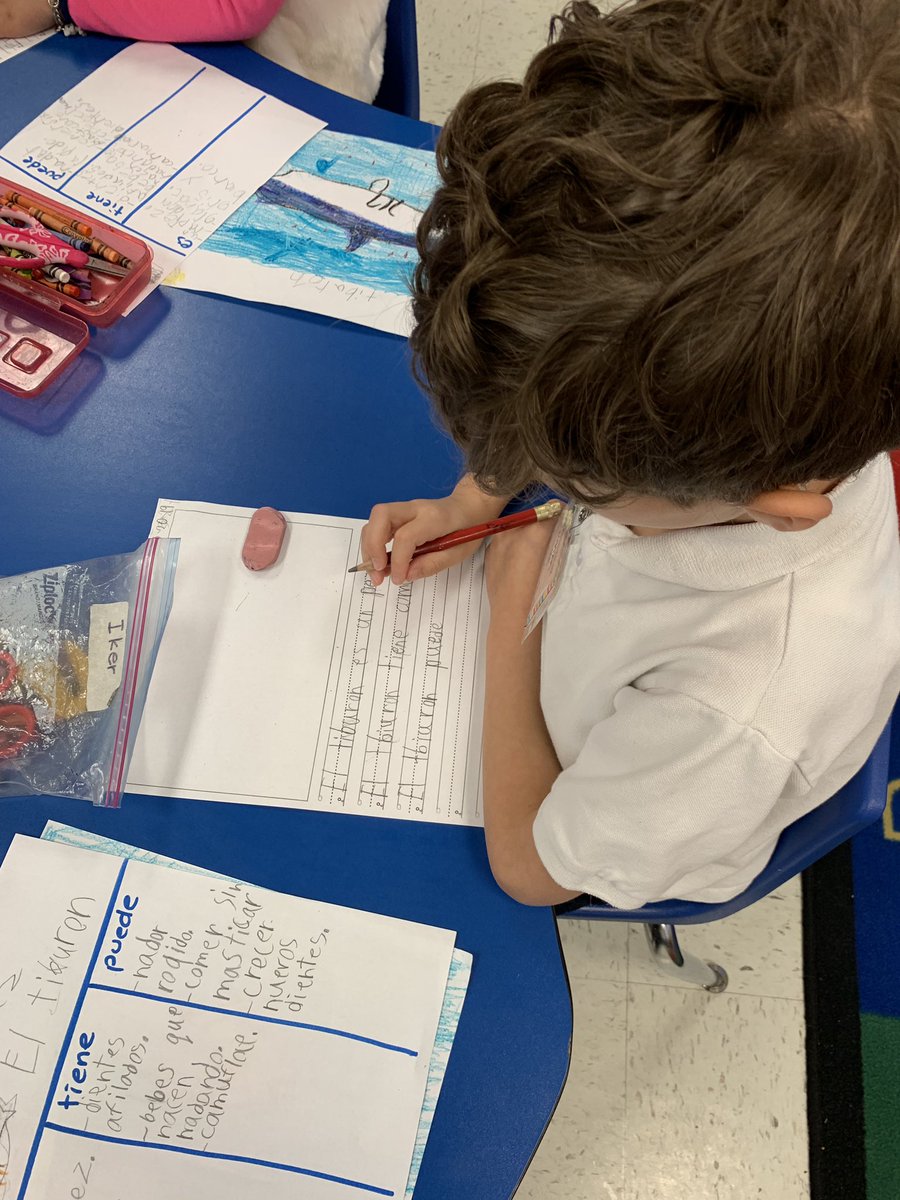 pattyrangelc's tweet photo. We love to write! Kindergarten rocks! @HBGonzalezES #hbg_senators #borntokick #livetoscore #buildingscholars #superspruce #dallasschools @PrincipalRey @PersonalizeDISD https://t.co/SLyOlPOtBV