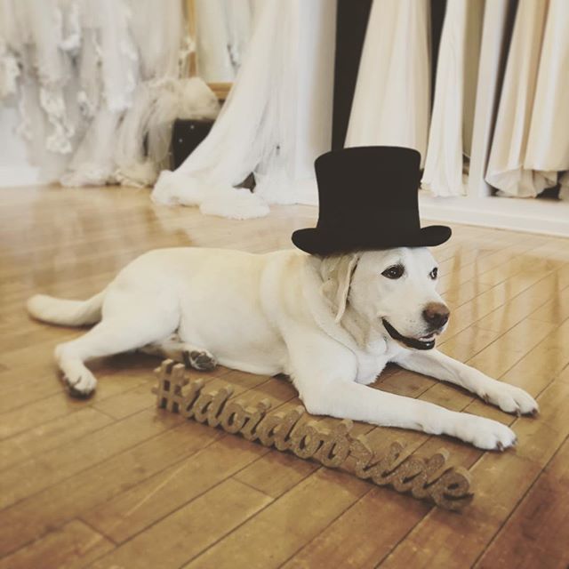 Isn’t he just the most charming gentleman?