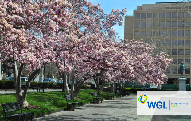 WGLanswers's tweet photo. The #SpringEquinox has arrived! As the seasons progress, we continue to provide #EnergyAnswers through our #natgas, retail and #midstream companies: https://t.co/X6123zoH7e https://t.co/khJoais04e