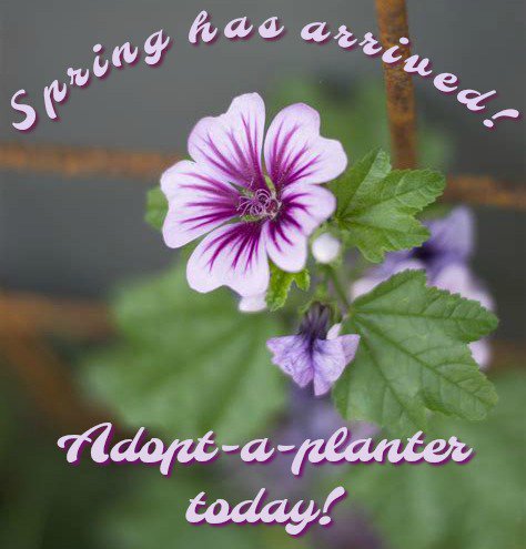 Arthur G. Vigeant tweet media