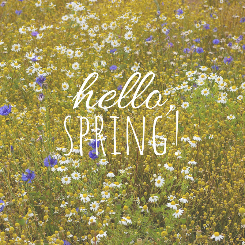 SnapSuites's tweet photo. Happy 1st Day of #spring !! https://t.co/CDE1ZA2yEL