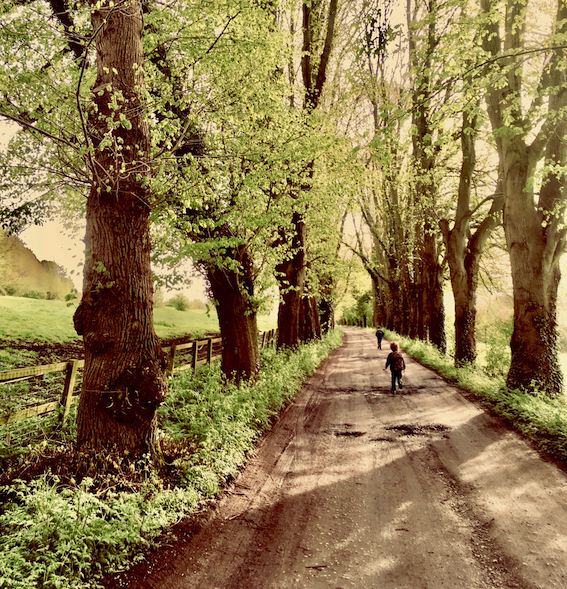 cbf_beerfest's tweet photo. Happy #springequinox. There are always beautiful views at #postliphall #WDYT https://t.co/N0T6lHw01U