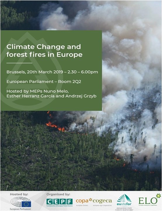 🌳Very interesting event on forest fires and climate change organised by <a href="/CEPFSecretariat/">EuropeanForestOwners</a> <a href="/COPACOGECA/">COPA-COGECA</a> <a href="/EULandownersOrg/">European Landowners' Organization</a> <a href="/EUSTAFOR/">European State Forests</a>
Bioenergy can contribute to tackle #ForestFires by bringing funding for sustainable forest management #SFM to forest owners