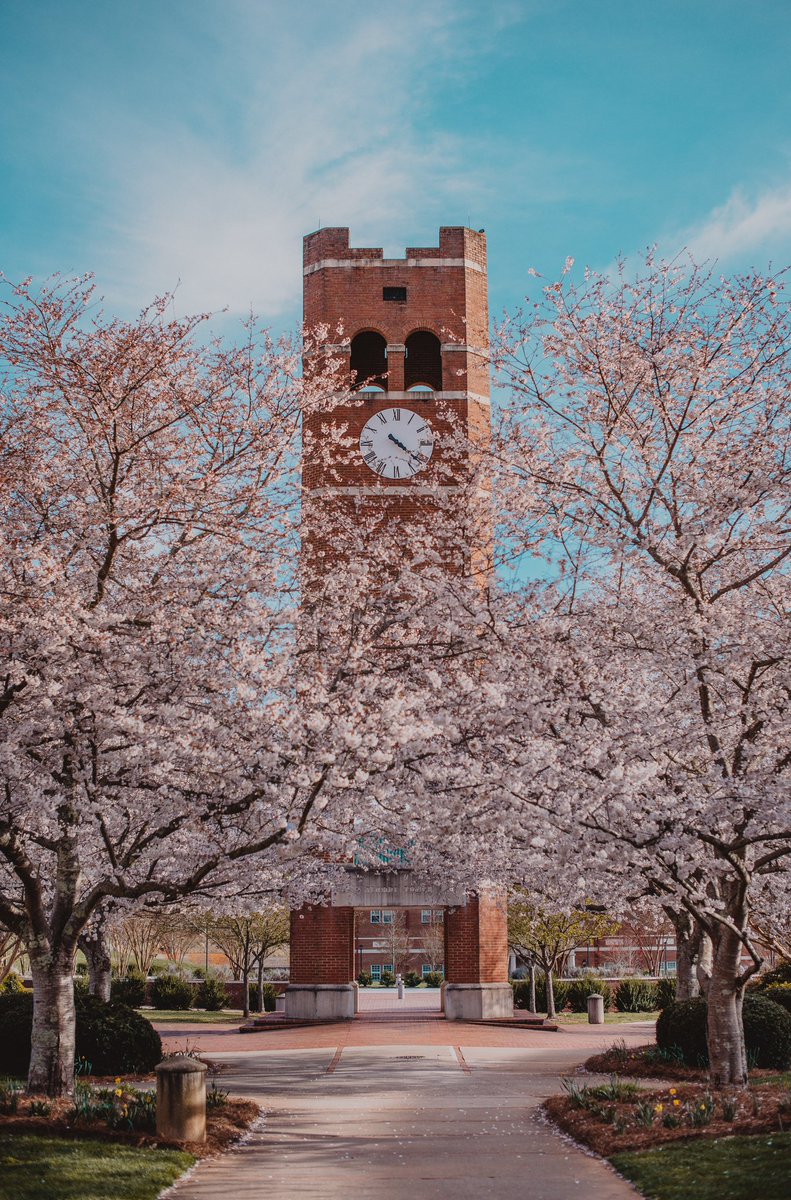 WCU's tweet image. Welcome Spring! 🌸
📷: Jared Draney