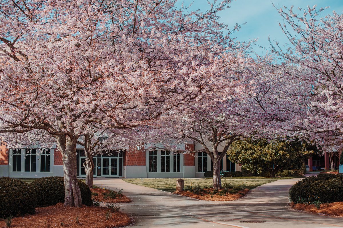 WCU's tweet image. Welcome Spring! 🌸
📷: Jared Draney