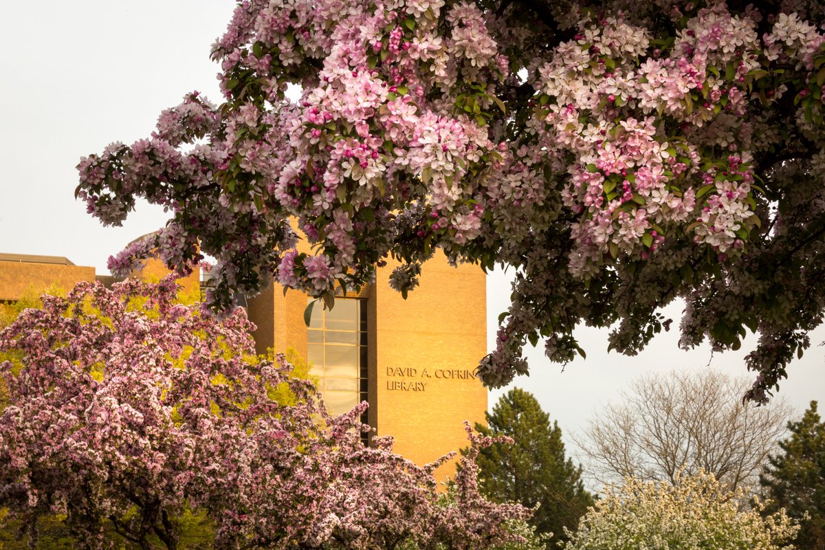 uwgb's tweet photo. A #SpringEquniox reminder of what is to come on campus... Happy first day of spring! https://t.co/APjR3S2TtS