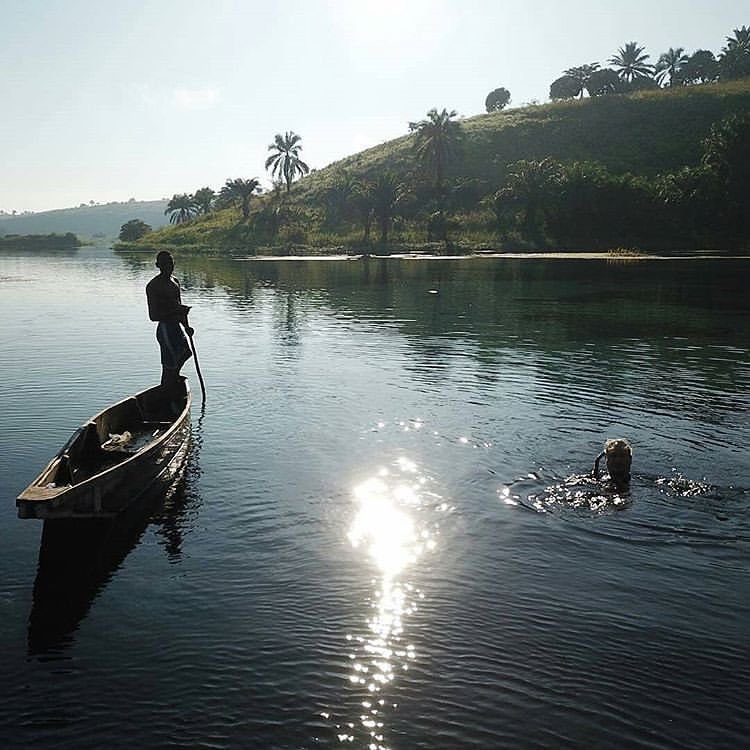 JeanClaudeMwewa's tweet photo. Notre #RDC 🇨🇩...

Lukelenge, Kasai-Oriental.

Photo #RtncNature. https://t.co/wBbmWDAFHE