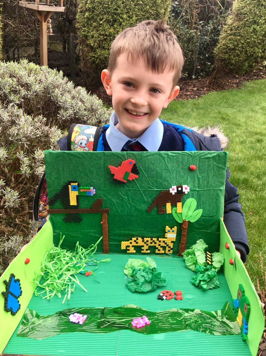 GemmaDC2's tweet photo. Probably our favourite homework this year #rainforesttopic @MissMcBrideSTM https://t.co/MTfKaiKiQ8