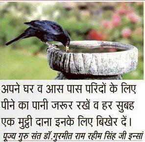 poojakamboz's tweet photo. On #WorldSparrowDay We all should pledge to help the birds by providing them food and water at their roofs.
#SaveBirdsSaysStRamRahim https://t.co/osmLNEGF39
