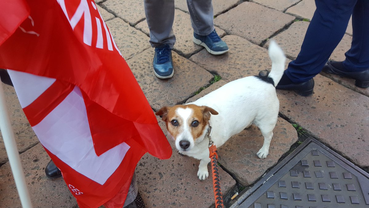 SarahP_ELT's tweet photo. Today's strike to protest 19 job cuts at @itBritish. Great turnout &amp; music  by La Scala violinist &amp; members of men's choir. And Wendy 🐕. 
Very emotional day. But had to be done. https://t.co/9IkawodDse