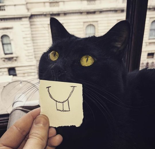 Gladstone 🇺🇦 tweet media