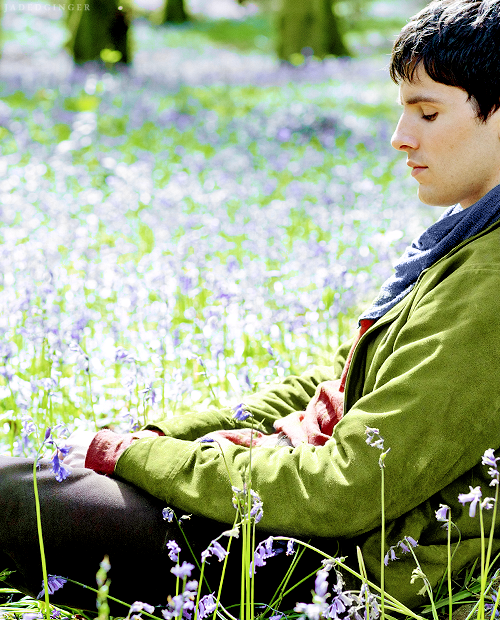 ColinMorgan_News tweet media