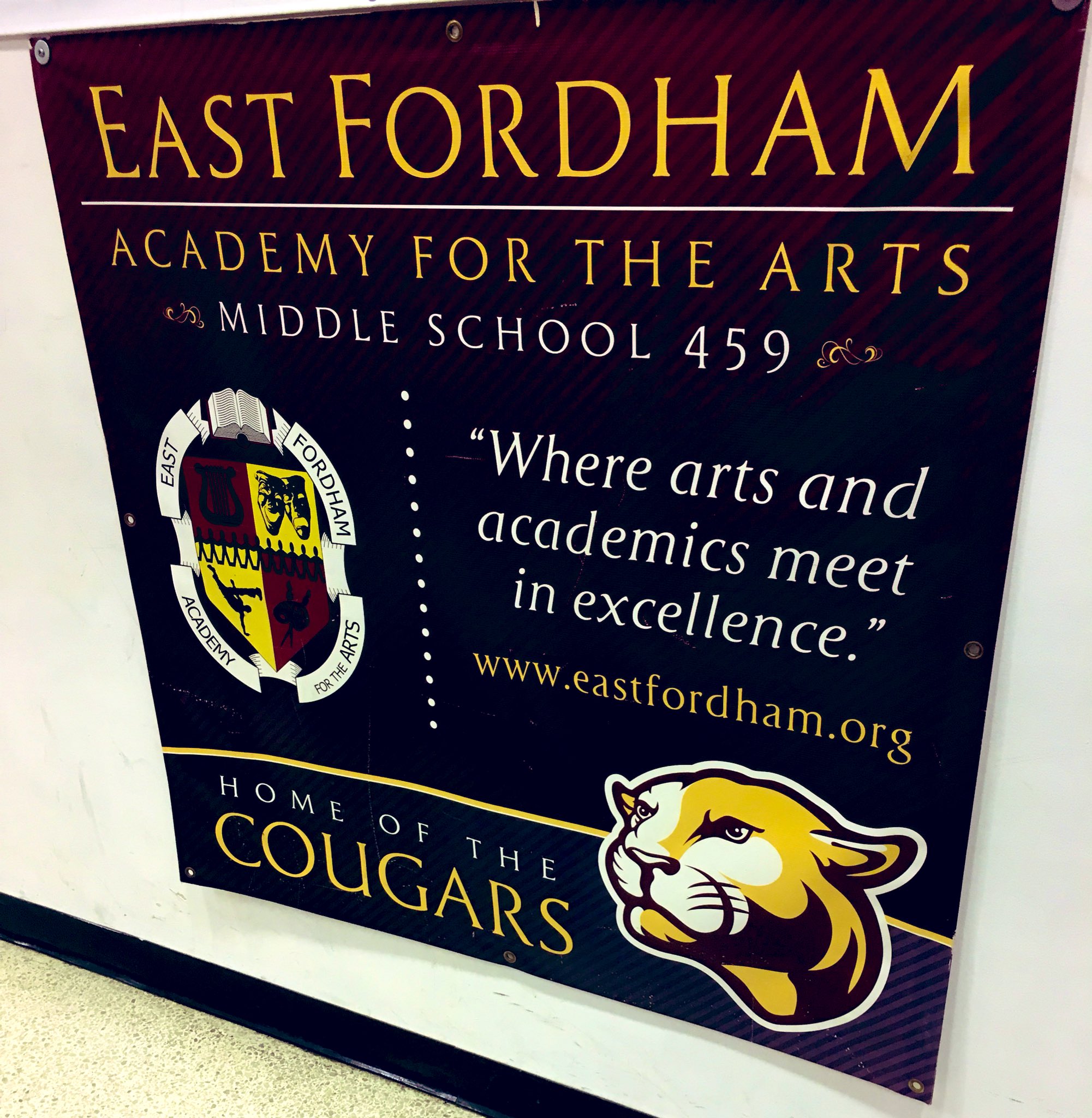 city jeans premium fordham