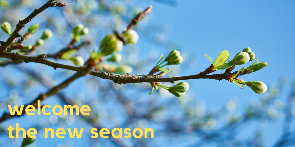 twsstains's tweet photo. Welcome the new season by preparing your deck for Spring! If you are planning to refinish your deck to protect it from moisture and other seasonal effects, please visit: https://t.co/YHsamAst9v https://t.co/njiAB46rKU