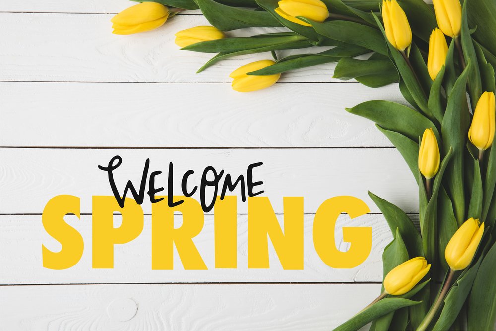 KeysLeeProperty's tweet image. Hello Spring Goodbye Winter! 

#happyspringtime #firstdayofspring #springtime #springishere #springisintheair #springhousingmarket #newhome #firsthome #firsthomebuyer