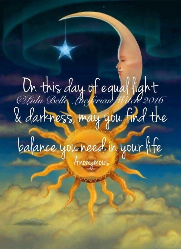 Dragon_Loch's tweet photo. I feel balanced already https://t.co/am3BHfbCXC