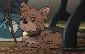 りゅう ちぇい スーパー誤字ータ そろそろ決めた方がいいと思うの 1番強いのは誰の犬なのか No 1 いぬ美 飼主 我那覇響 No 2 マメ丸 飼主 小宮果穂 No 3 ジュニオール 飼主 箱崎星梨花 No 4 ハナコ 飼主 渋谷凛 T Co Gon57k5llq Twitter りゅう ちぇい スーパー誤字ータ そろそろ決めた方がいいと思うの 1番強いのは誰の犬なのか No 1 いぬ美 飼主 我那覇響 No 2 マメ丸 飼主 小宮果穂 No 3 ジュニオール 飼主 箱崎星梨花 No 4 ハナコ 飼主 渋谷凛 T Co Gon57k5llq Twitter