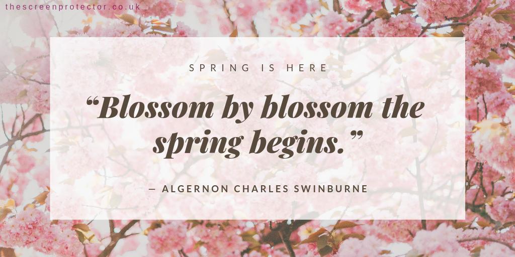 TVProtectorUK's tweet photo. #Spring is finally here! ๐ทโ๏ธ
Flowers are blooming, birds are chirping, the sun is coming out... what could be more perfect! ๐ฆ
#springhassprung #firstdayofspring #SpringEquinox #SpringQuote #TheScreenProtector https://t.co/g5bYT9Ah03