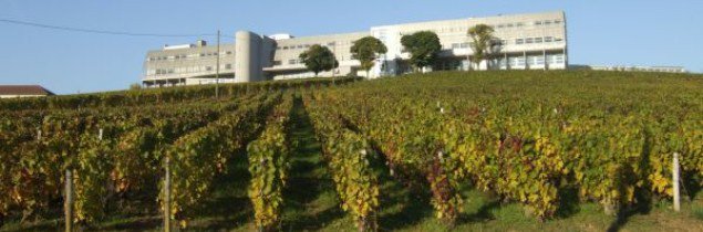 #Formation #Viti Le lycée Viticole de Macon-Davayé a engagé sa conversion #bio pour la prochaine rentrée 2019 : il vise un BTS viti-oeno en "orientation agriculture biologique" . Un label FORMABIO viendra reconnaître les spécificités de cet enseignement. goo.gl/HhZk7N