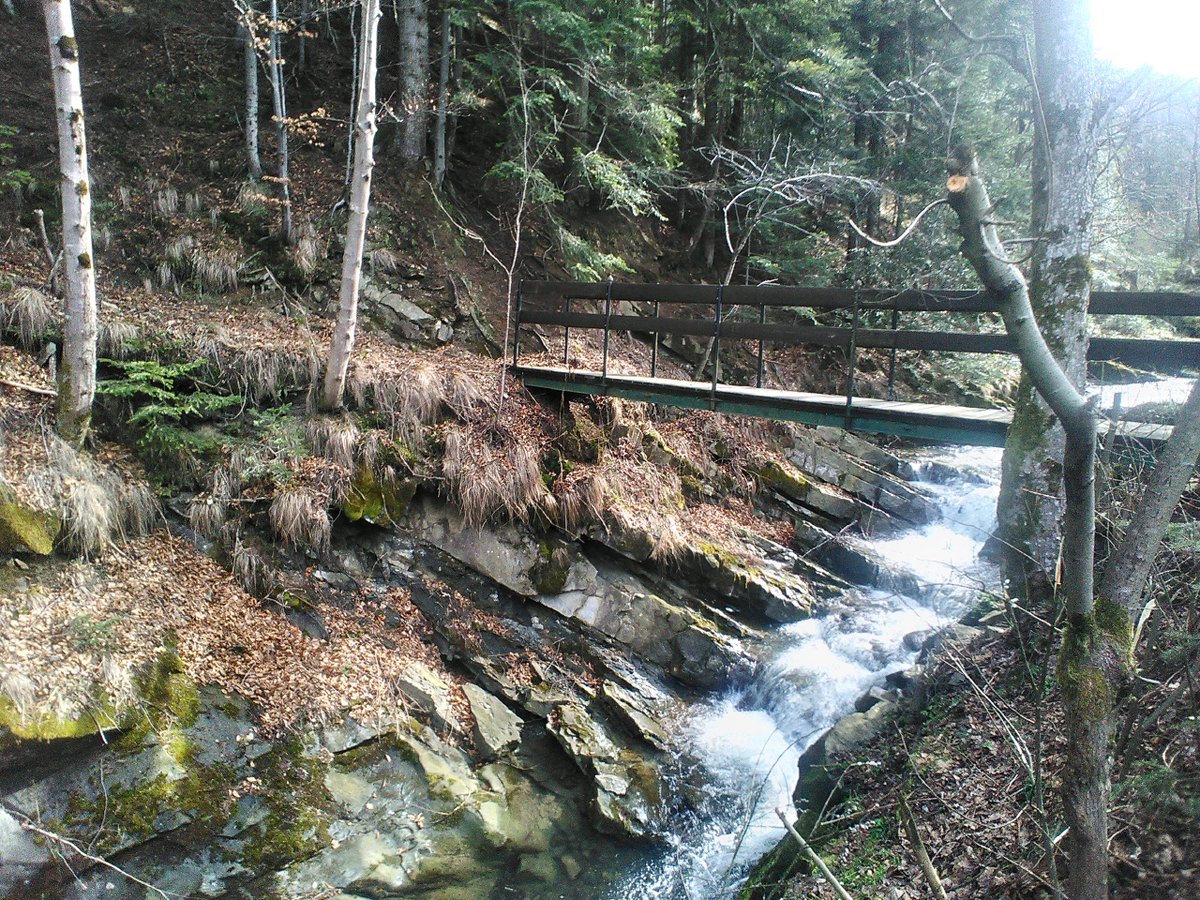 RakKrzysztof's tweet photo. Sezon 2019 możemy uznać za otwarty! @AlanJaskot @B_Franczyk #archeologia #rockart  #sztukanaskalna #petroglyphs #etnologia #picm #skaiwca https://t.co/ot5IWWFRTb