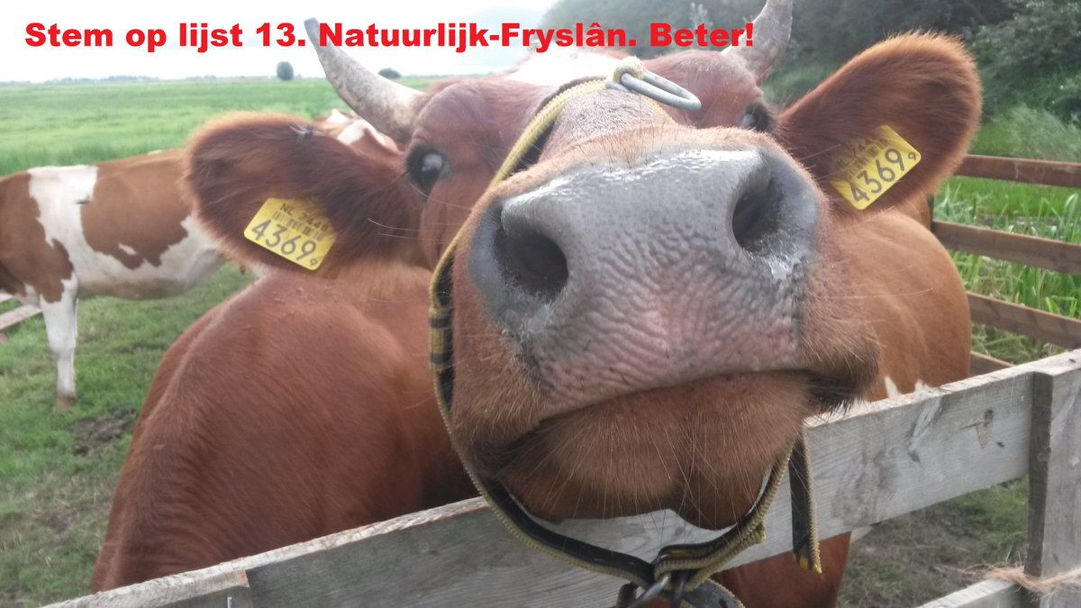 Fries Leiderschap. Investering en uitvoering van #fryslân2030. Het Plan voor Friesland. 
Aan de Slag. Kies Natuurlijk-Fryslân. Lijst 13.

<a href="/SietzeSchukking/">Sietze Schukking</a> <a href="/UsHofBregje/">Bregje Hamelynck</a> 
 <a href="/HelenWolbers/">Helen Wolbers</a> 
Aan de Slag!