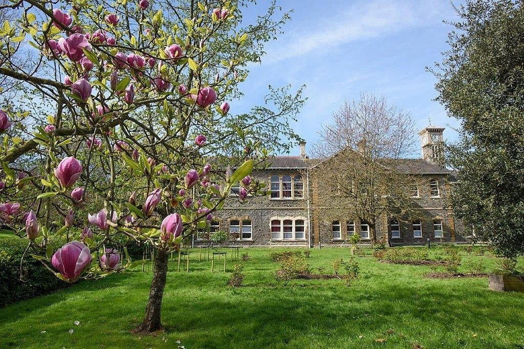 UWEBristol's tweet image. 🌷 | It's officially the #FirstDayOfSpring! Thanks for sharing your beautiful pics of our campuses with us. 

Keep them coming by using #MyUWEBristol and we'll share the best ones!

#SpringEquinox