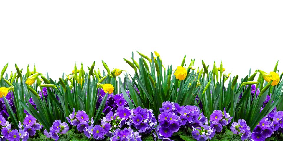 UKCMSnetwork's tweet image. There's lots to celebrate today.  Not only is it #InternationalDayOfHappiness but also the #FirstDayofSpring and #WorldStorytellingDay!

Don't forget to head over to our new LinkedIn page and give us a like to follow our new story
linkedin.com/company/the-de…