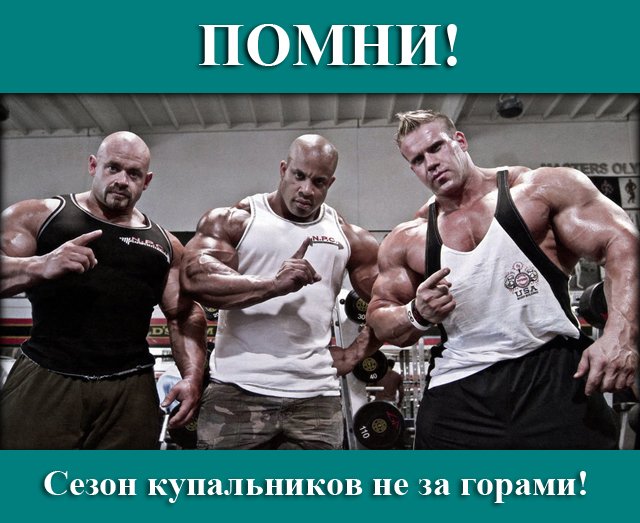 #спорт #бодибилдинг #тренажерка #мотивация 
Спортивные тренажеры от производителя  newlife.in.ua/g5815780-silov…