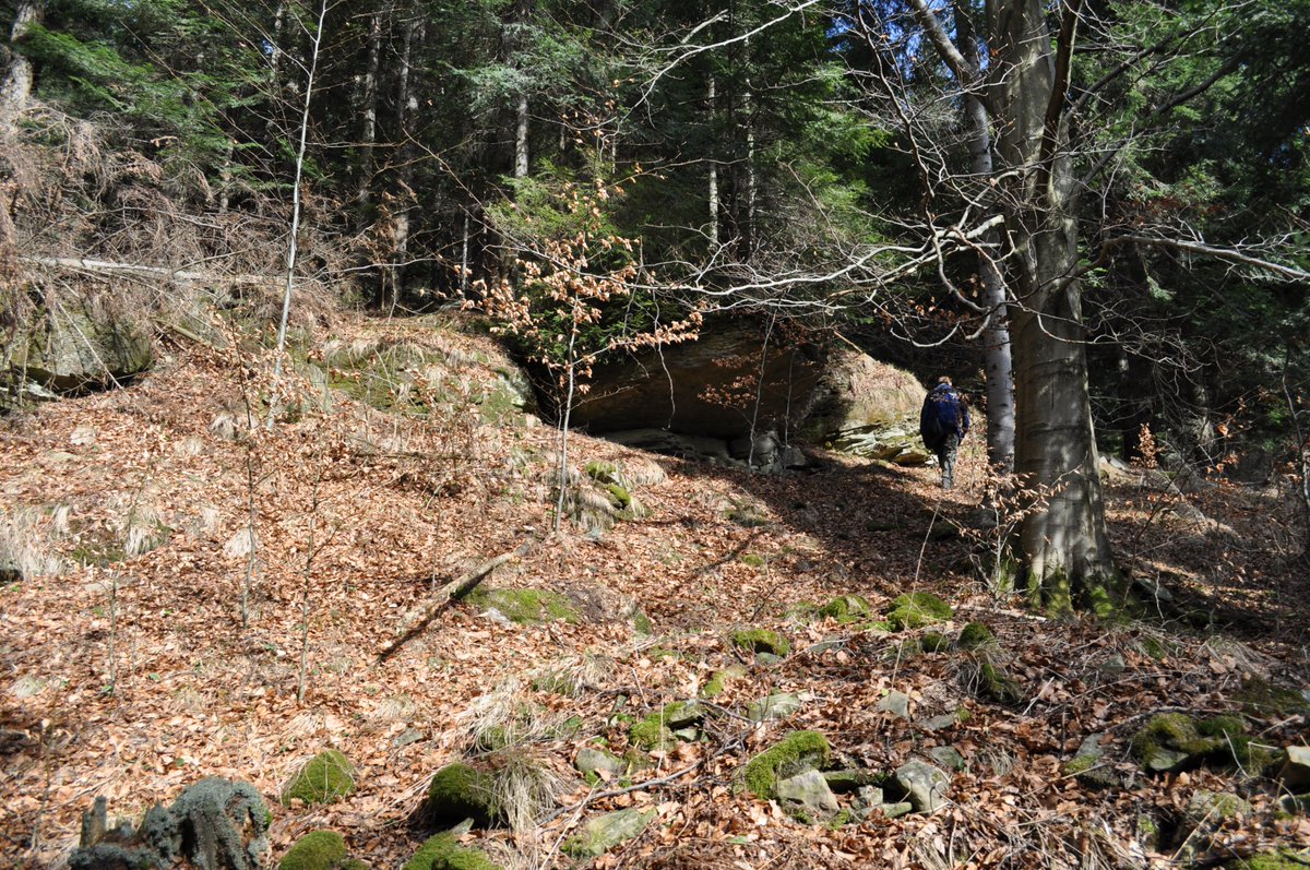 RakKrzysztof's tweet photo. Sezon 2019 możemy uznać za otwarty! @AlanJaskot @B_Franczyk #archeologia #rockart  #sztukanaskalna #petroglyphs #etnologia #picm #skaiwca https://t.co/ot5IWWFRTb