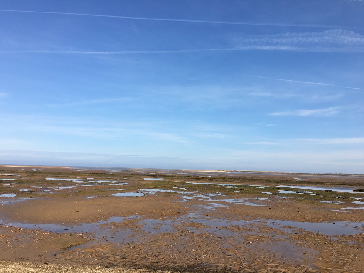 norfolktruffle's tweet photo. Over the bait diggers Out to the sea What a beautiful day For Truffle and me #dittyaday #wideopenemptyspaces https://t.co/9SqHGf1I2g
