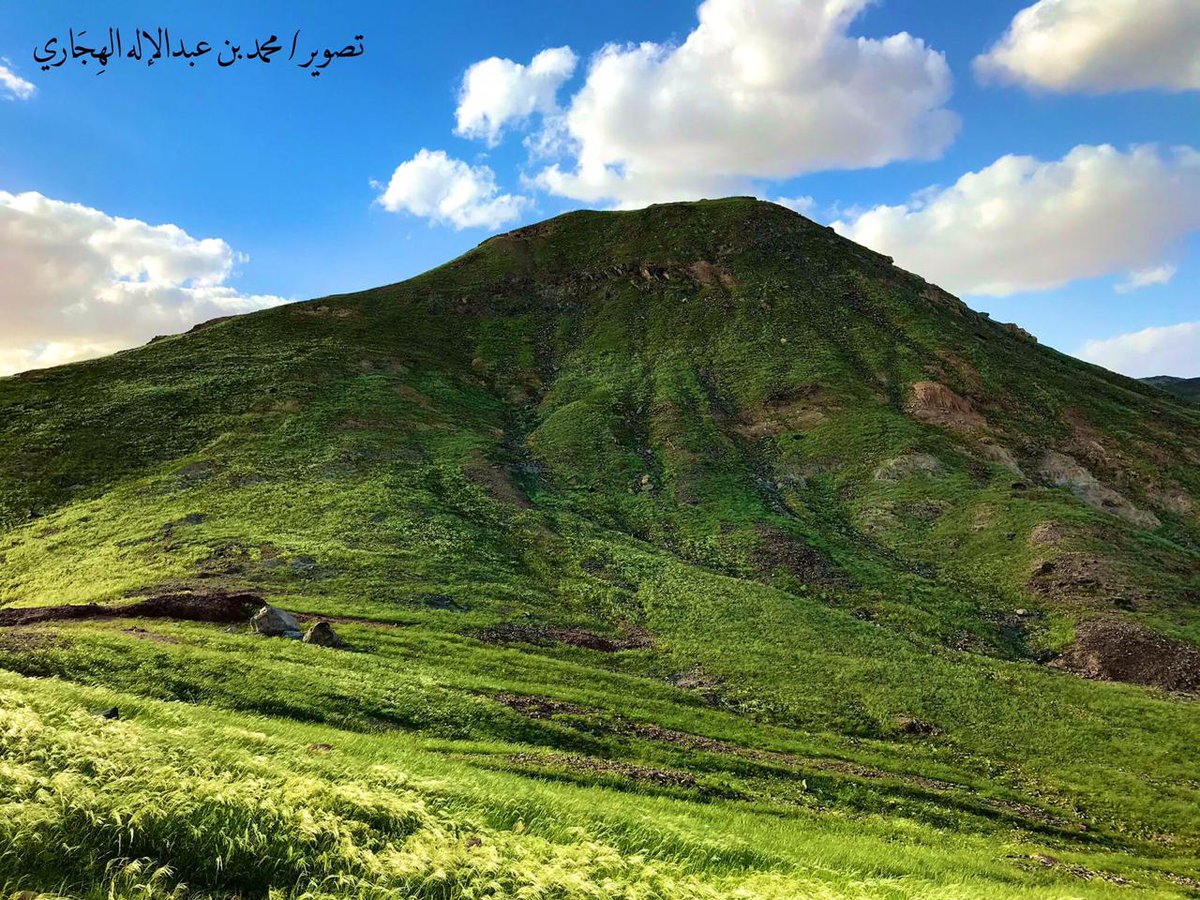 الشلاحي عبدلي tweet media