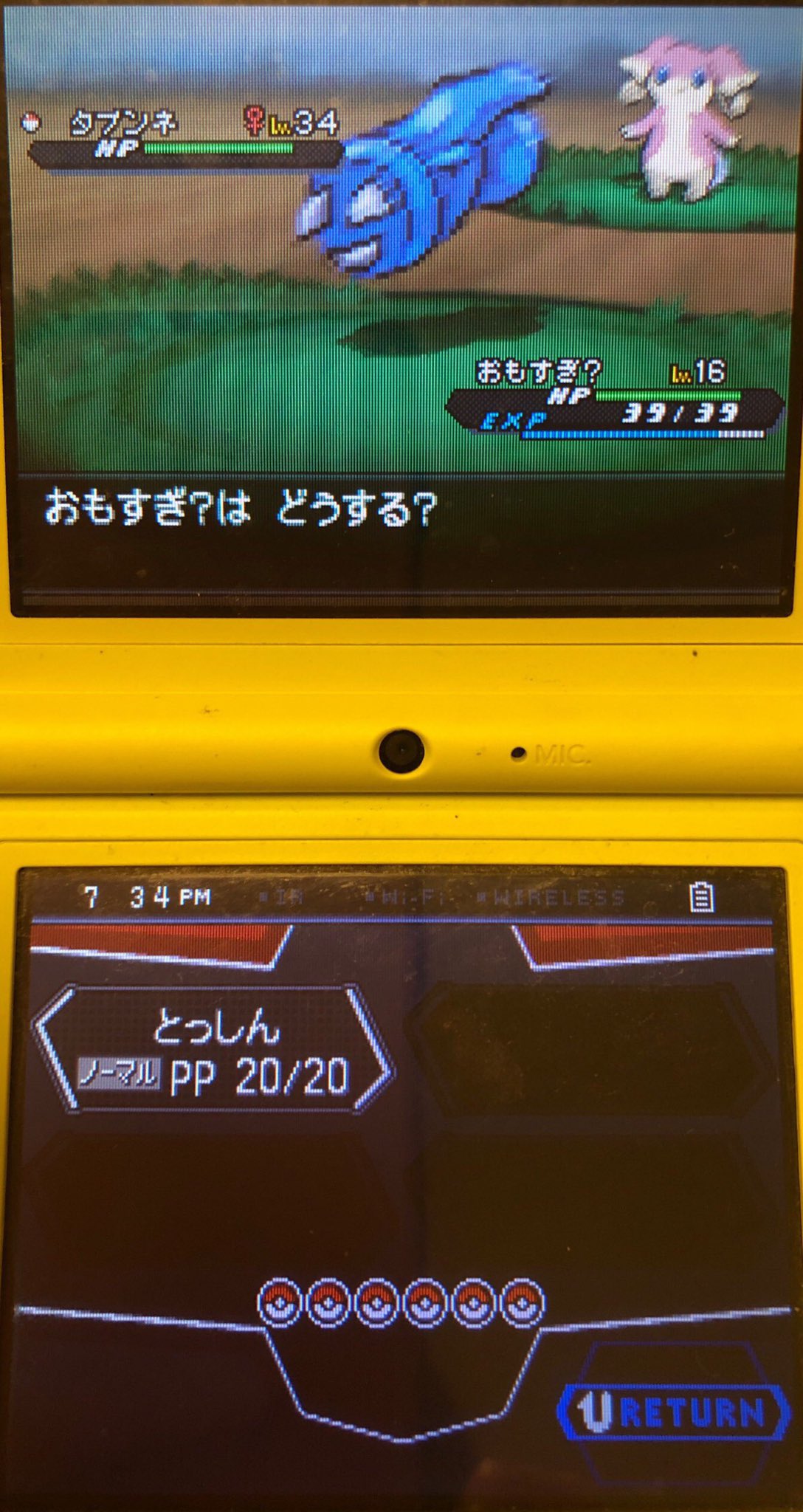 17 ストレンジャーハウスにて ピクミン マリオ ドラクエ Ff ポケモン日記