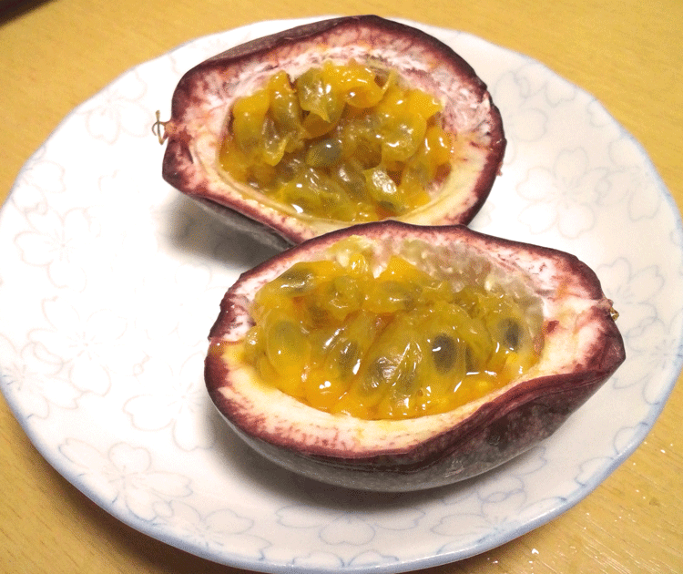 藤三郎 うわあ自然落下したパッションフルーツの実 表面はしわしわだったけど中身は痛んでもない パッションフルーツの匂いだあ