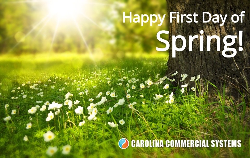 carcomsys's tweet image. Hello Spring! Today is the #FirstDayOfSpring #SpringEquinox