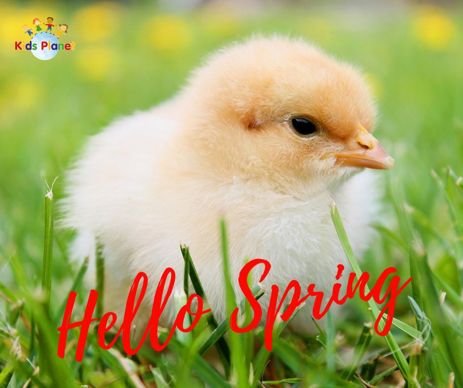 _KidsPlanet's tweet image. A gorgeous first day of #spring today! More very cute 🐣🐥🐤 pics to enjoy &amp;gt;  kidsplanetdaynurseries.co.uk/blog/eggcellen… 
#SpringEquinox