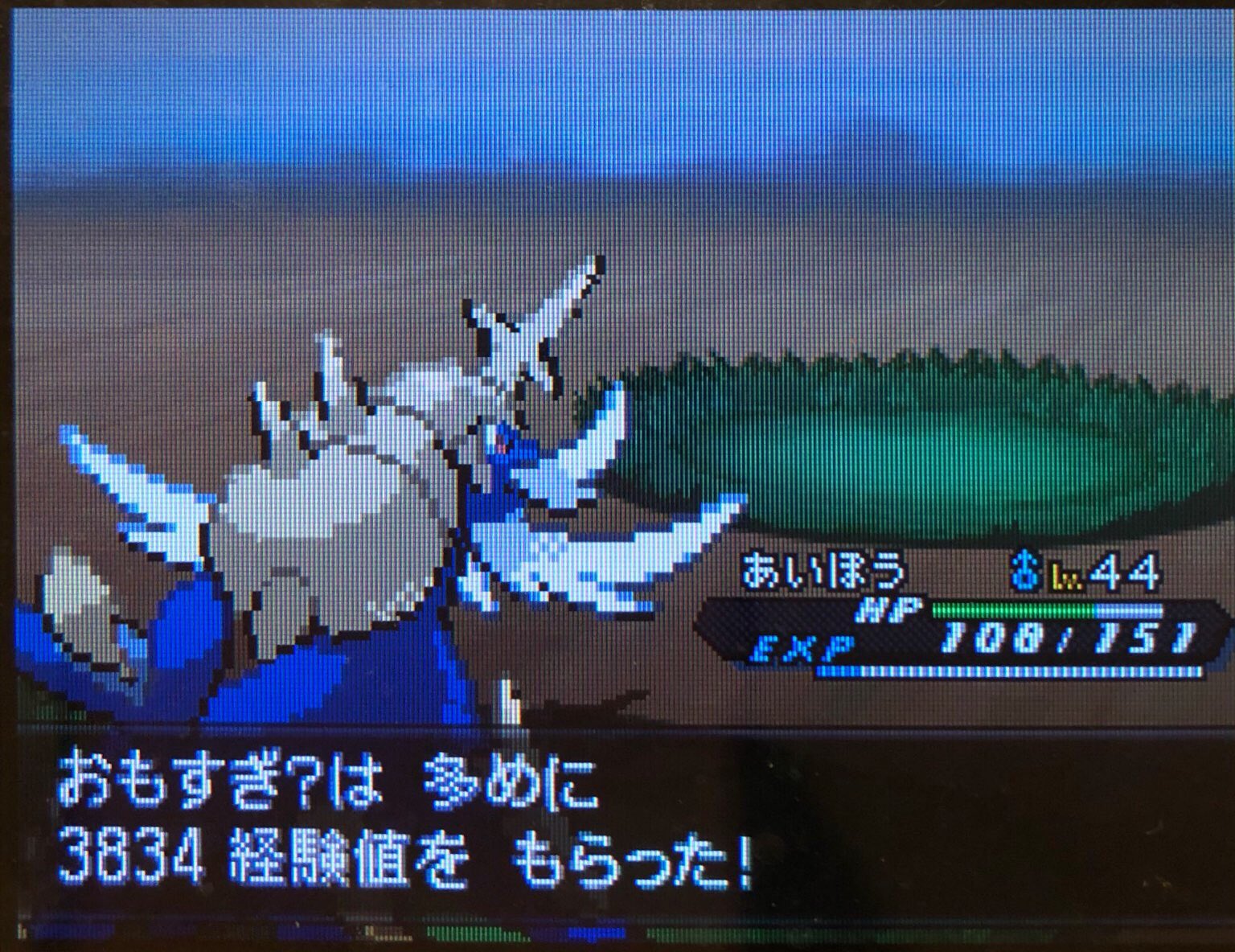 17 ストレンジャーハウスにて ピクミン マリオ ドラクエ Ff ポケモン日記