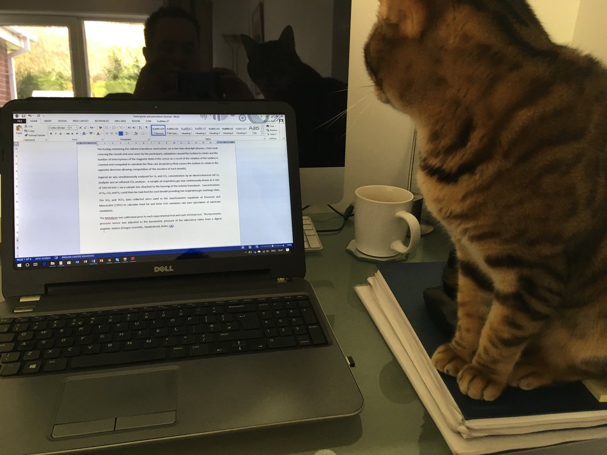 alistairblack81's tweet photo. Proof reading for me https://t.co/XbSNZzr9xm