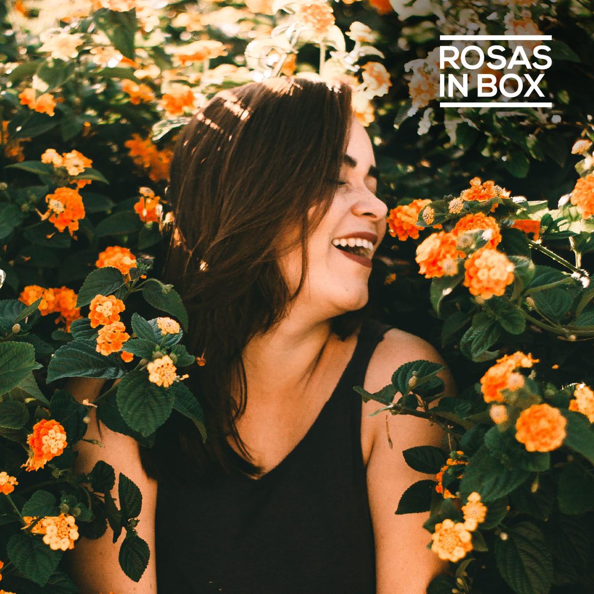 Rosasinbox's tweet photo. Hoy comienza la #Primavera🌸🌹🌞¡nuestra estación favorita! #Flores por todas partes, buen tiempo... ¿cómo no quedar prendados de ella?
➡️Llena también tu casa de alegría con un bonito #ramo💐 https://t.co/OvMd4rbogm
#RosasInBox https://t.co/t5b2AHigIN