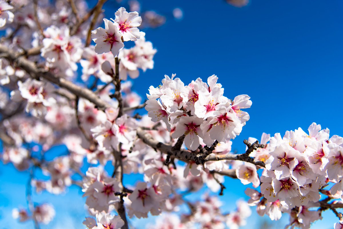 GitesdeFrance04's tweet photo. Bon Printemps à toutes et à tous !
🌺☀️😀🌼🌳 https://t.co/ksNyF01PCE