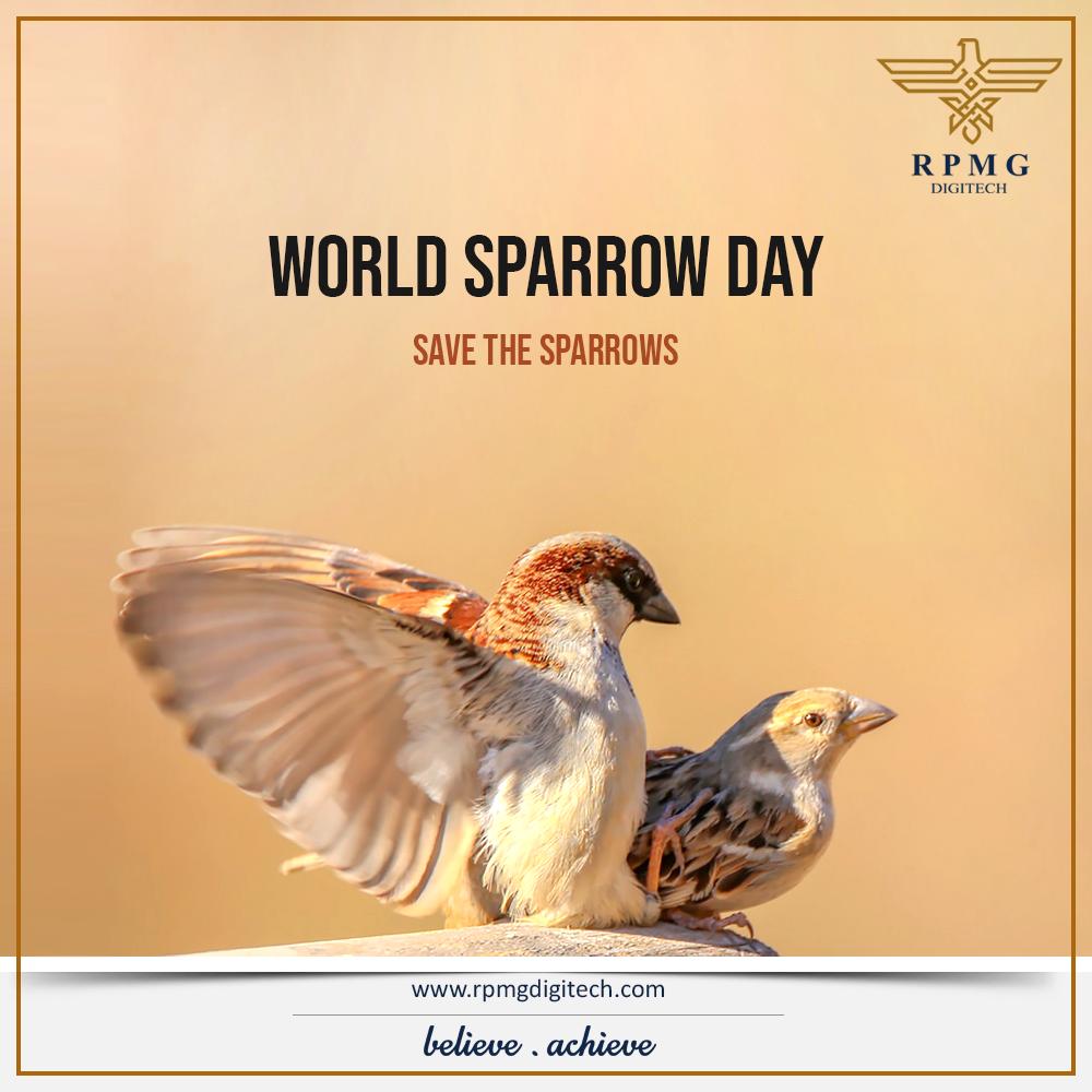 RPMGDigitech's tweet photo. You are living in your higher dreams, while grinding on someone’s chirping nest.
#WorldSparrowDay #SaveSparrow #RPMGDigitech https://t.co/w5FrkViZMl