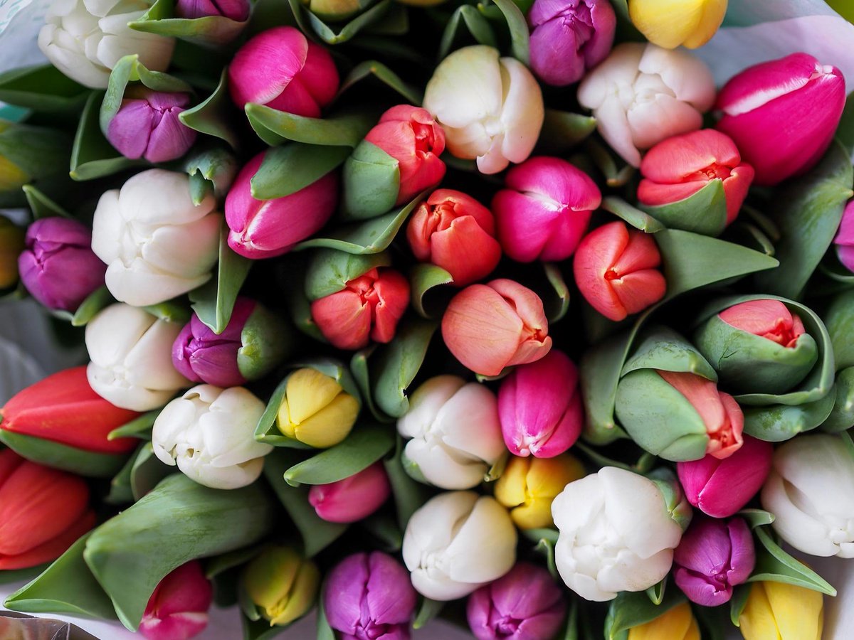 gruponebralejo's tweet photo. "Con tus colores y olores... bienvenida #Primavera" 🌹

📞 +34 952 78 80 02 
✉️ info@gruponebralejo.com
🌱 https://t.co/ld2RiV1pLw ♻️
 
#GrupoNebralejo #Construccion #ObraCivil #Jardinería #20deMarzo #WelcomeSpring https://t.co/HbUQ1IrLUX