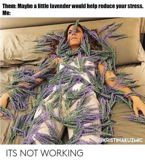 Tanya__Verwey's tweet photo. This definitely used to be me. ALWAYS STRESSING ABOUT FINANCES!!!! Never having enough money to make ends meet ๐
BUT those days are over! I took advantage of the FREE business opportunity and now earn Dollars every Friday ๐ค
#freebusinessopportunity
#earndollars
#fripay https://t.co/hKNMmDUdRO