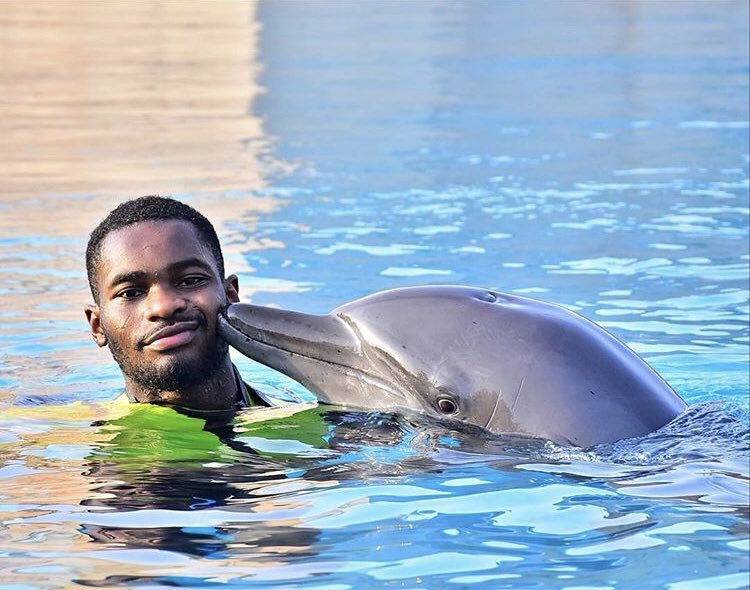 Rhymes Like Dimes Podcast tweet media