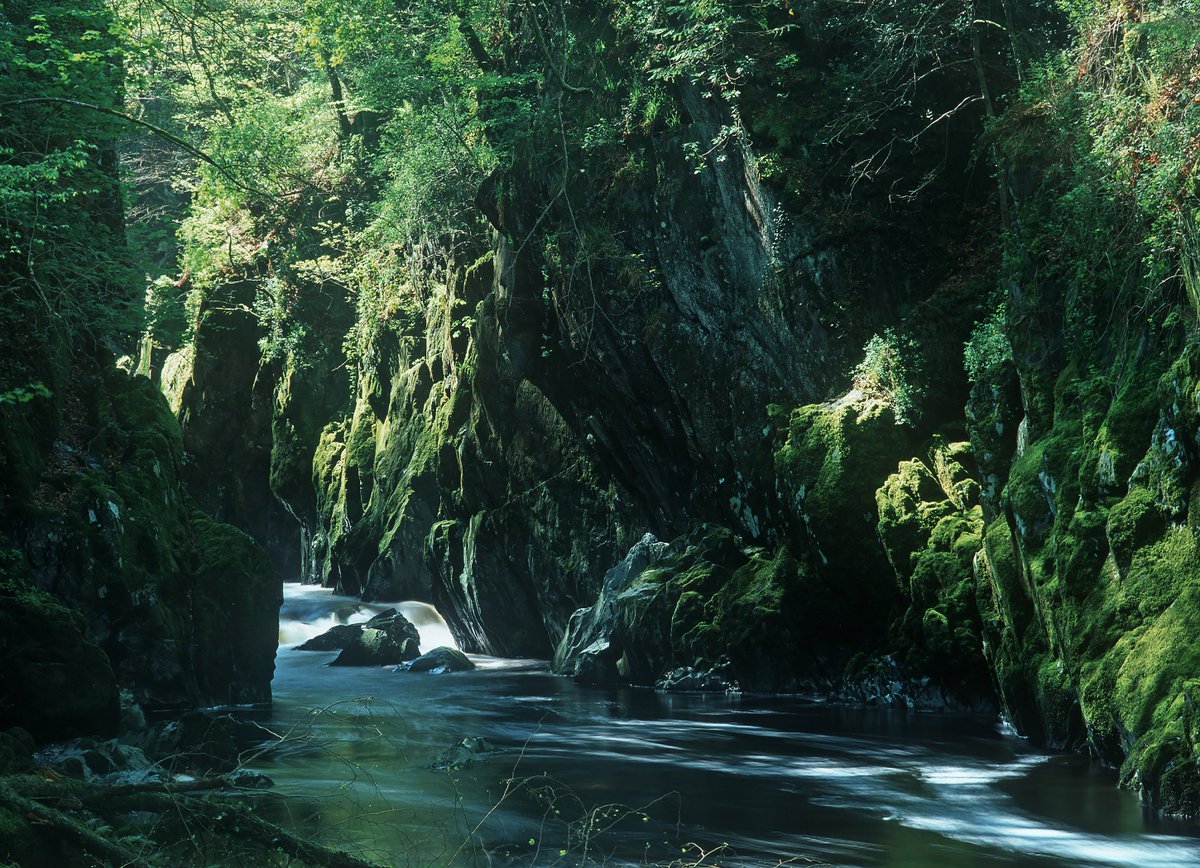 Dyma yw diwrnod swyddogol cyntaf y Gwanwyn! Beth am fynd am dro i fwynhau blodau’r Gwanwyn yn Ffos Anoddun? Mae’r warchodfa natur boblogaidd hon yn adnabyddus am ei bywyd gwyllt a phlanhigion brodorol bit.ly/2TxfWhR #DarganfodGogleddCymru #CyhydnosYGwanwyn