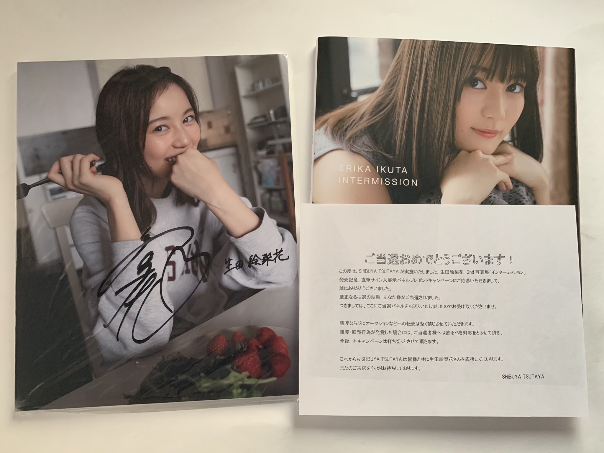 生田絵梨花パネル 中古】アクリルスタンド・アクリルパネル 生田絵梨花 個別