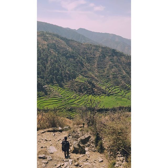 aykhazanchi's tweet photo. Man on a mission
.
.
.
.
.
#nagtibbatrek #nagtibba #trek #trekindia #himalayashelter #landscape #intothewild #thegoatvillage #landscapephotgraphy #nomansland #indiaphotostory #adventurenation #instagramindia #vsco #vscox #paperjournalmag #trekking #trekk… https://t.co/hUesHllsKW https://t.co/oTjmHhVhhT
