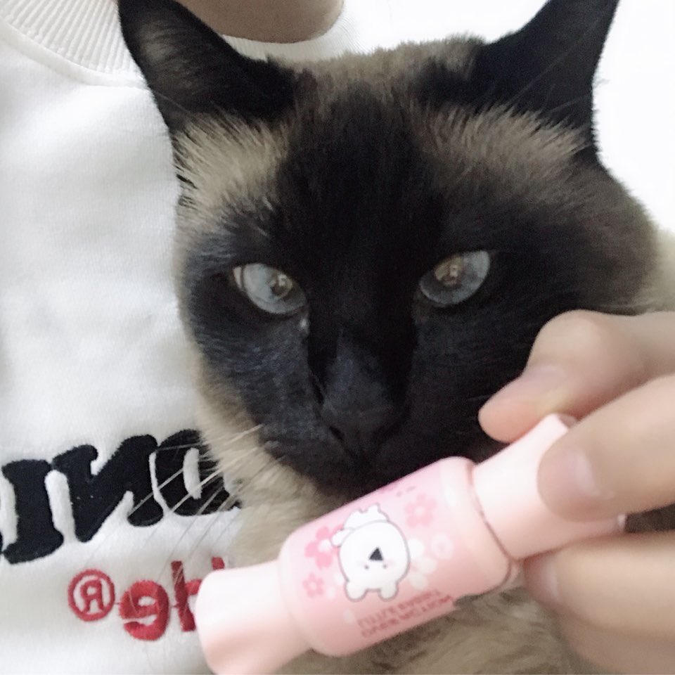 yeonwukr's tweet photo. 더샘 오버액션꼬마토끼 벚꽃에디션 💕🐰 봄이 오나봐요 🌼🌸🌼🌸
⠀⠀⠀
#모모랜드 #MOMOLAND #연우 #YEONWOO https://t.co/SycGSEzrlC