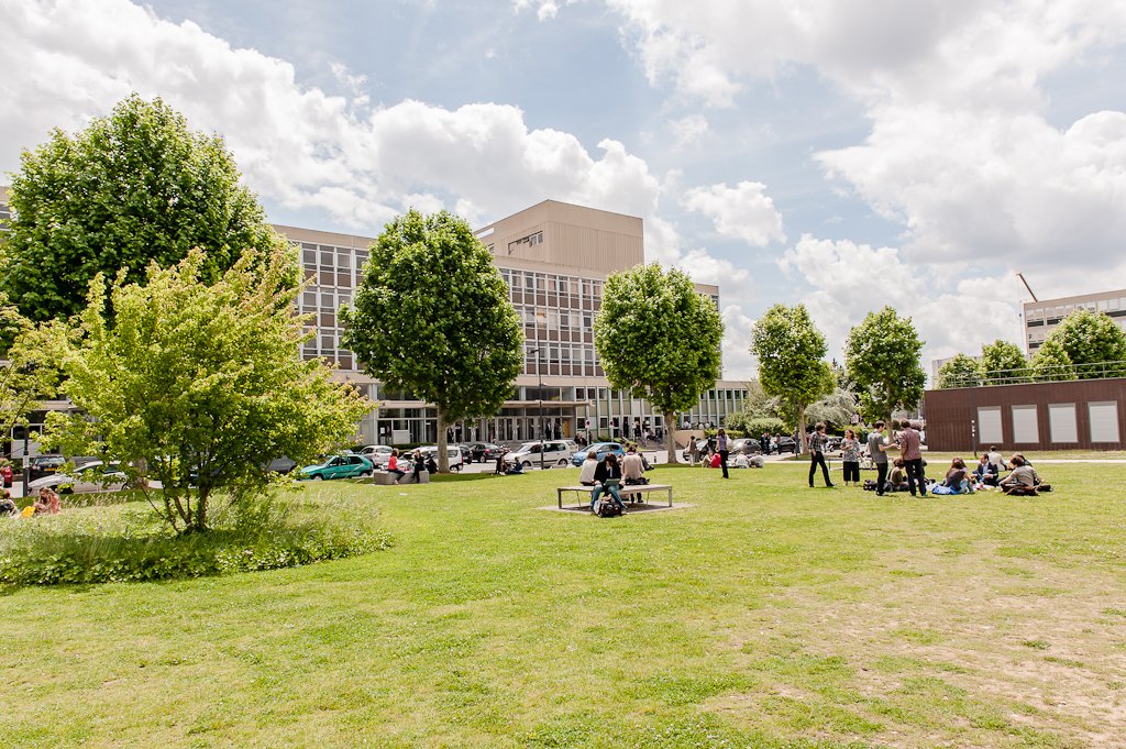 SuioUPNanterre's tweet photo. Etudiant·e·s, et si vous profitiez de l’arrivée du #Printemps pour combattre votre stress ? Inscrivez-vous à nos séances gratuites qui ont lieu tous les lundis de 11H30 à 12H30 : https://t.co/CWnxnTcafF et profitez bien de cette belle journée ! #SUIONanterre @UParisNanterre https://t.co/VWKCXyWbao