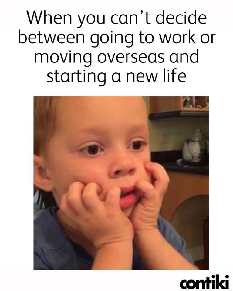 ContikiSA's tweet photo. It's a tough choice some days, right? https://t.co/4tok76q7TX