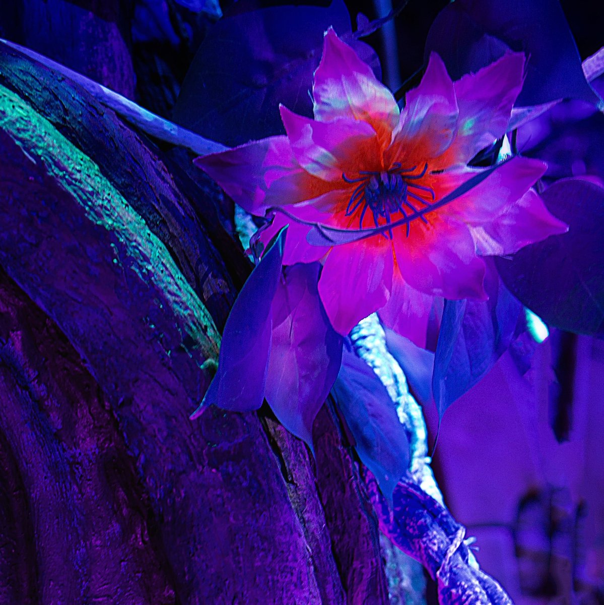 origin_london's tweet photo. Crucial FX have created something truly unique. Origin is an experiential showcase that shows off just what they can do with technology. 
https://t.co/MUK2XElHC9
#EventProfs #eventdesign #immersive #creative #eventtech #technology #london #experiencedesign #events https://t.co/CKG634p4SD